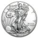 Zilveren American Eagle 1 OZ divers jaar
