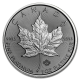 Platina Maple Leaf 1 OZ divers jaar