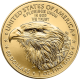 Gouden American Eagle 1 OZ 2023