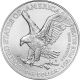 Zilveren American Eagle 1 OZ 2023