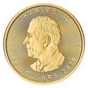 Koop de Gouden 1 OZ Maple Leaf 2026 bij Goudwisselkantoor