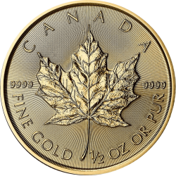 Koop de Gouden 1/2 OZ Maple Leaf 2026 bij Goudwisselkantoor