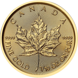 Koop de Gouden 1/10 OZ Maple Leaf 2026 bij Goudwisselkantoor